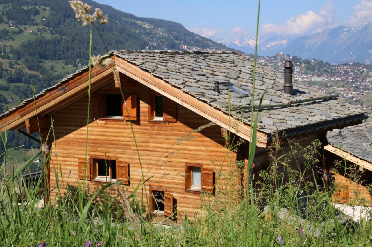 Christoph Standing & Calm Chalet 10 Pers By Alpvision Residences Veysonnaz Eksteriør billede